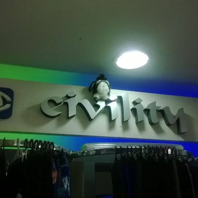 Civility