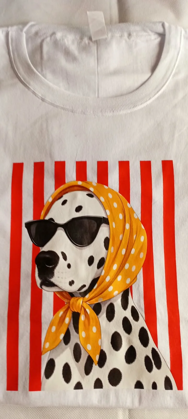 Cápsula Perros, foto 5