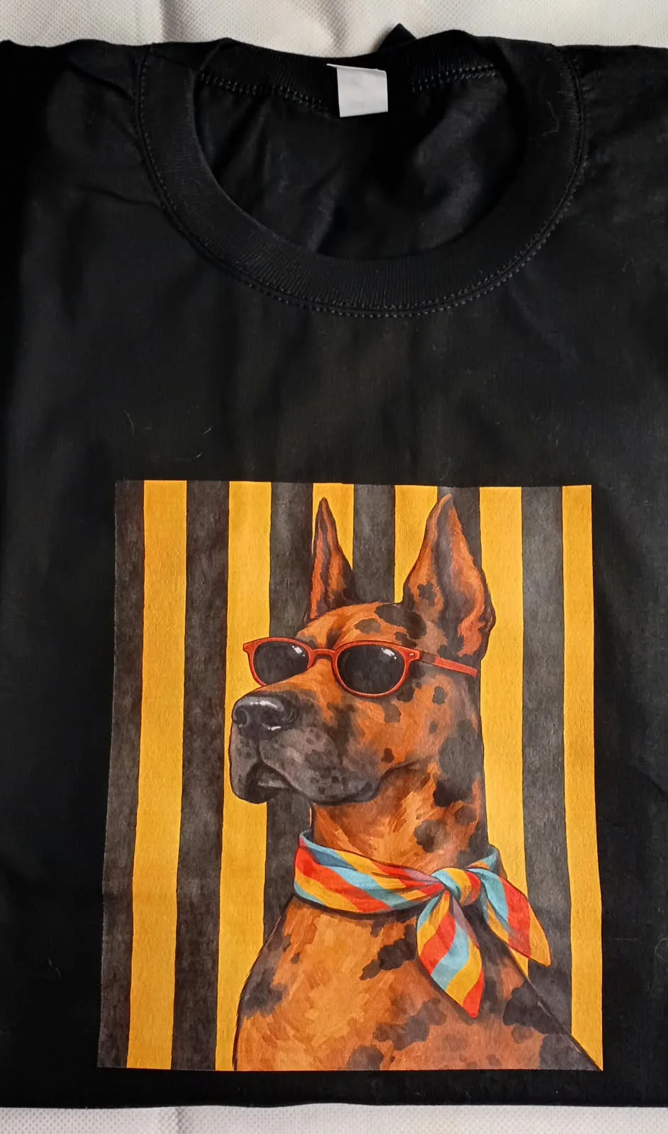 Cápsula Perros, foto 3